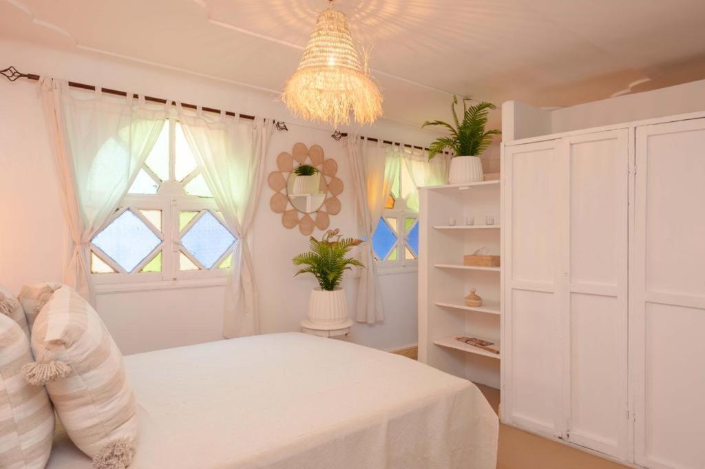 Appartement Rooftop Centre Jacuzzi